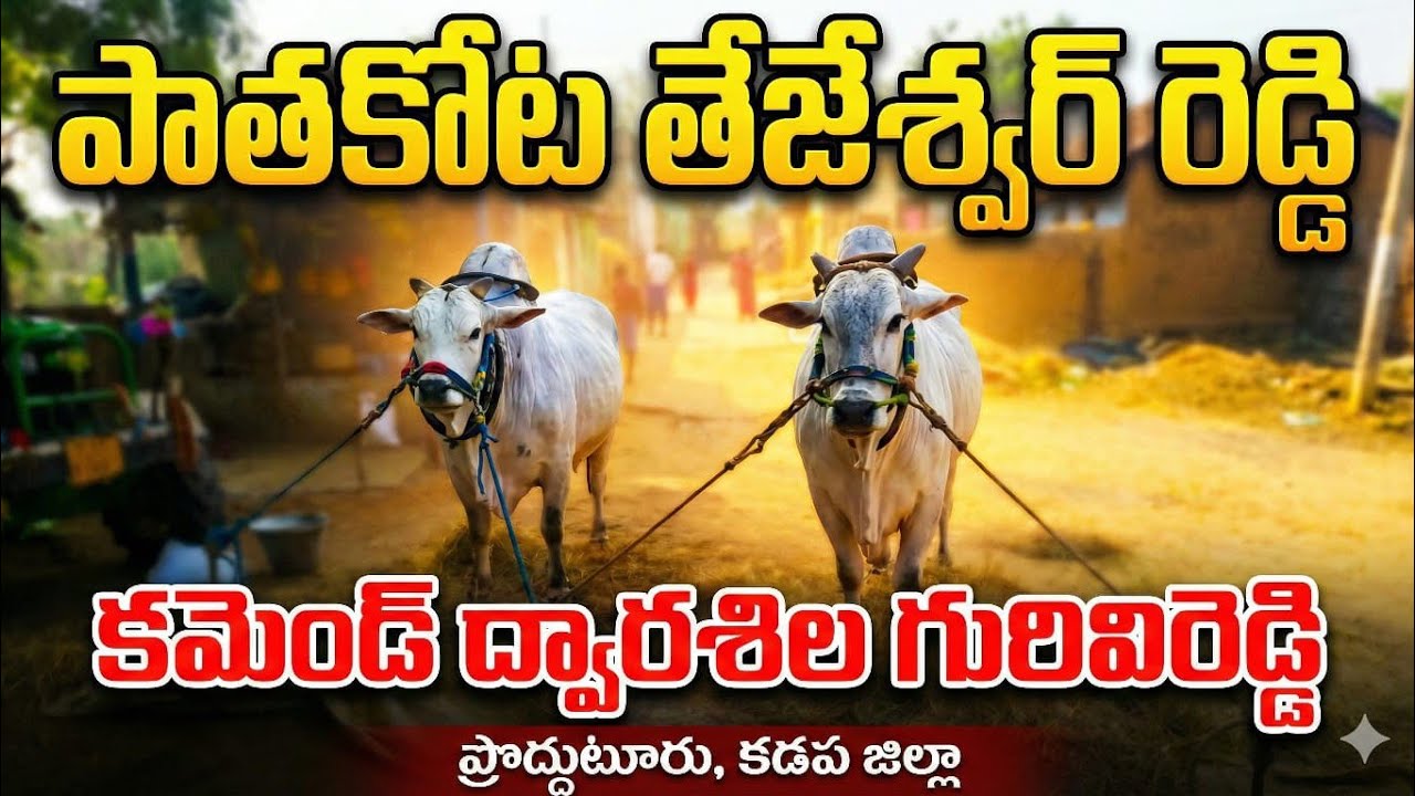 🚩10/2/26దొడ్లవాగు సీనియర్స్ 7జత పాతకోట తేజేశ్వర్ రెడ్డి గారు+ ద్వాదశిల గురువిరెడ్డి గారు కడప జిల్లా 