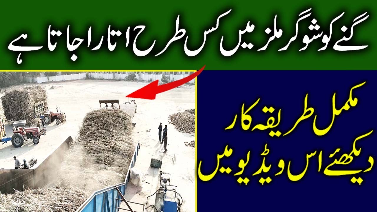 Full Sugarcane Crushing Process | Sugar Mill Visit | Sugar Mills Highlights | Amazing Factory Fotage