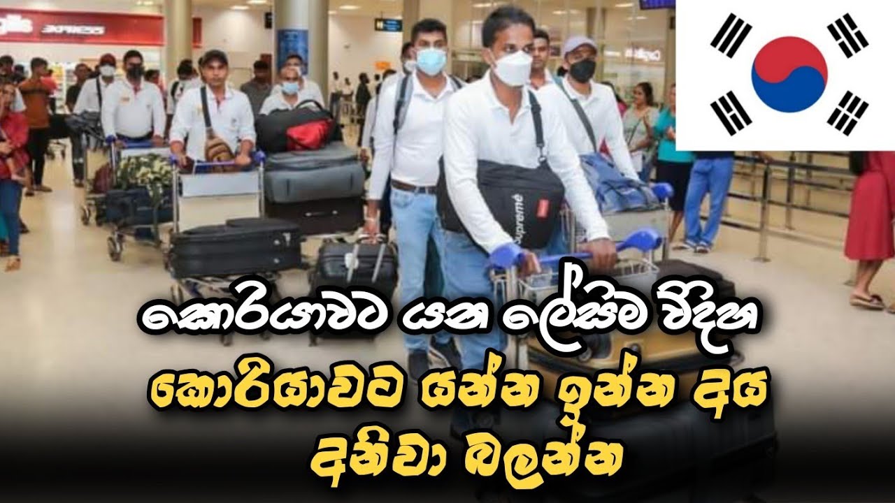 නිවසේ සිට කොරියාවේ කම්පැණිය දක්වා සම්පූර්ණ ගුවන් ගමන | Samee With South Korea.