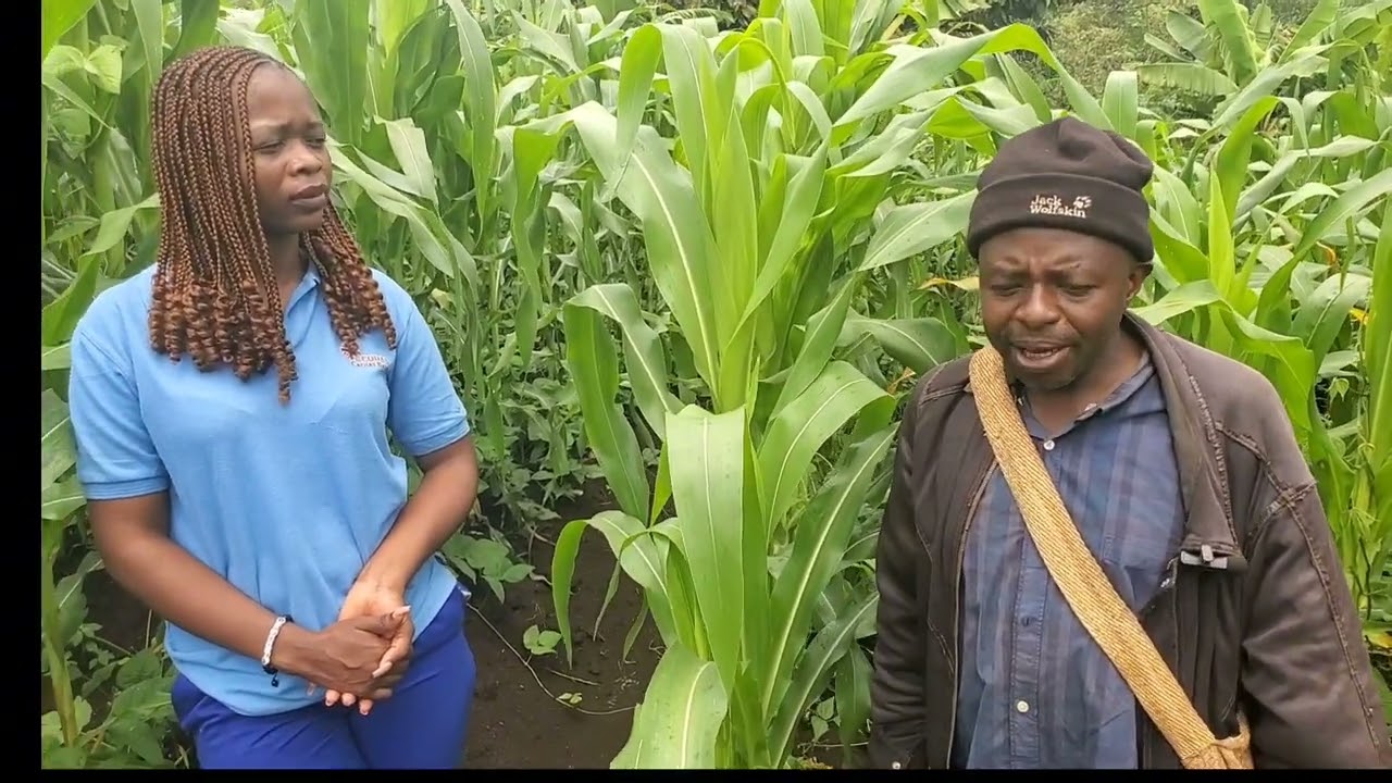 Le CODAS Caritas au service d'une agriculture durable .