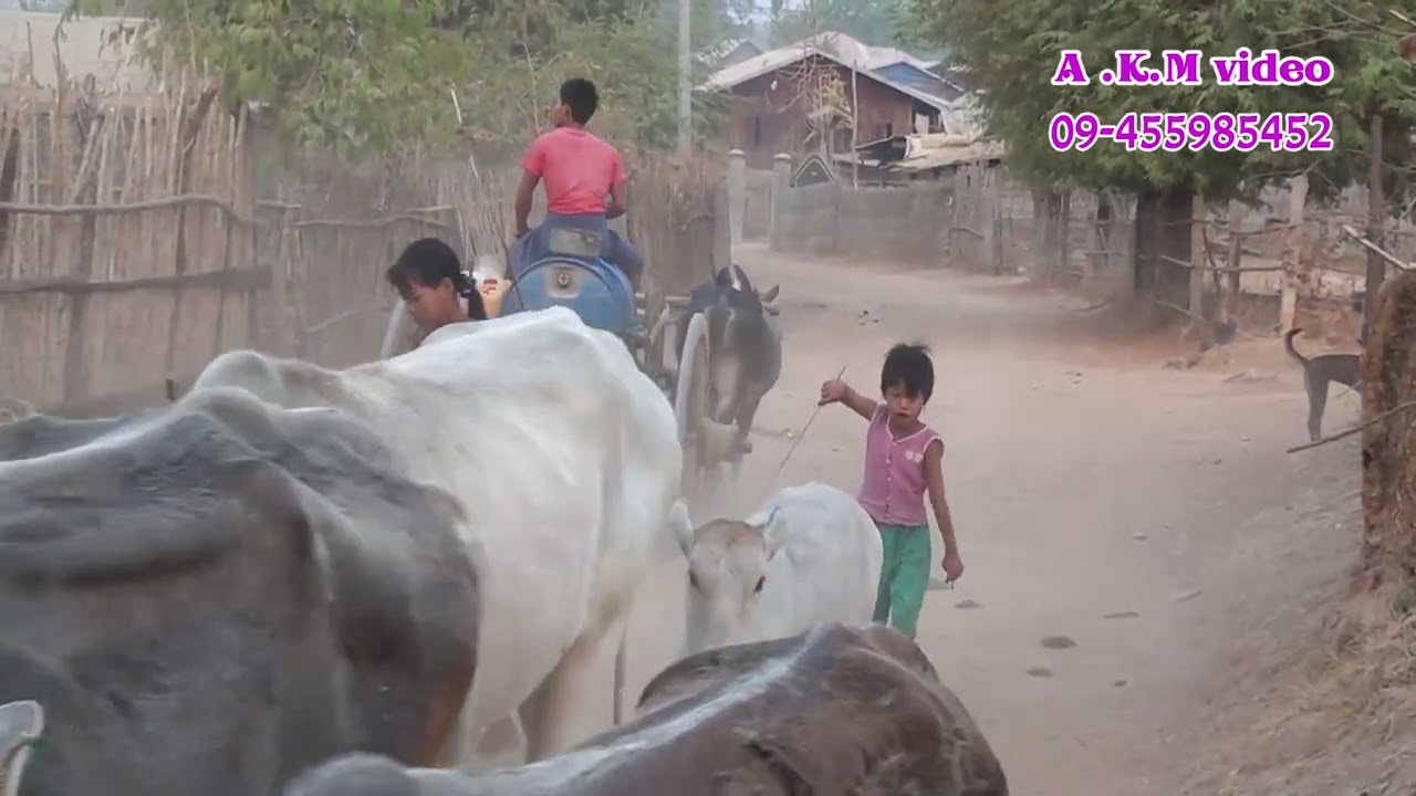 လွမ်းလိုက်တာဗျာဘယ်လွမ်းရမှန်းမသိ
