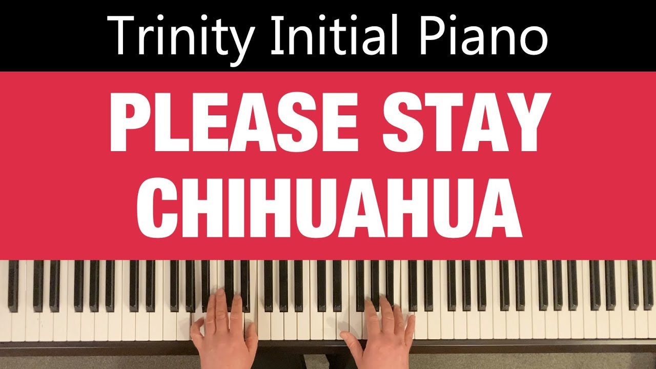 PLEASE STAY, CHIHUAHUA (candidate's part) | Trinity Initial Piano from 2021 | sheet music link below