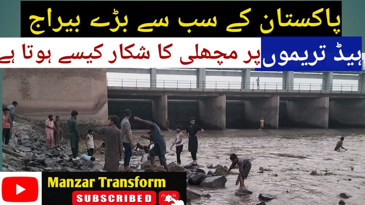 Fishing At Head Trimmu Barrage JHANG || Pakistan Ky Sb Bray Barrage Pr Mashli Ka Shikar || Hunting
