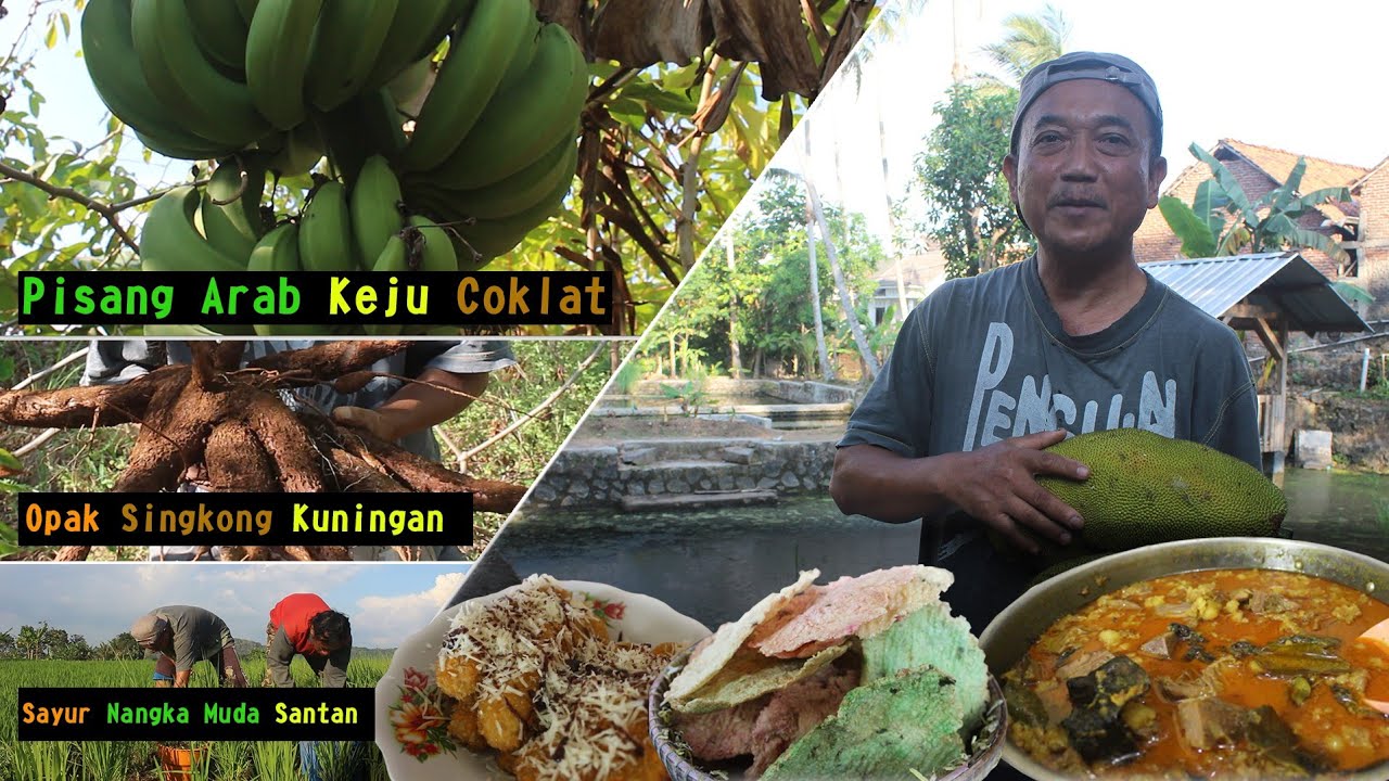 Masakan Kampung Yang Bikin Ngiler | Kuliner Kampung