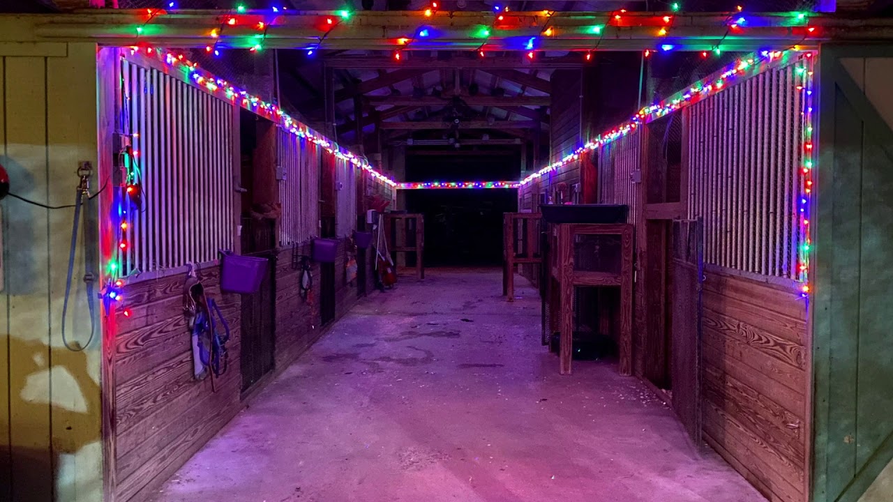 Critter Creek Sanctuary Ranch Christmas 2020