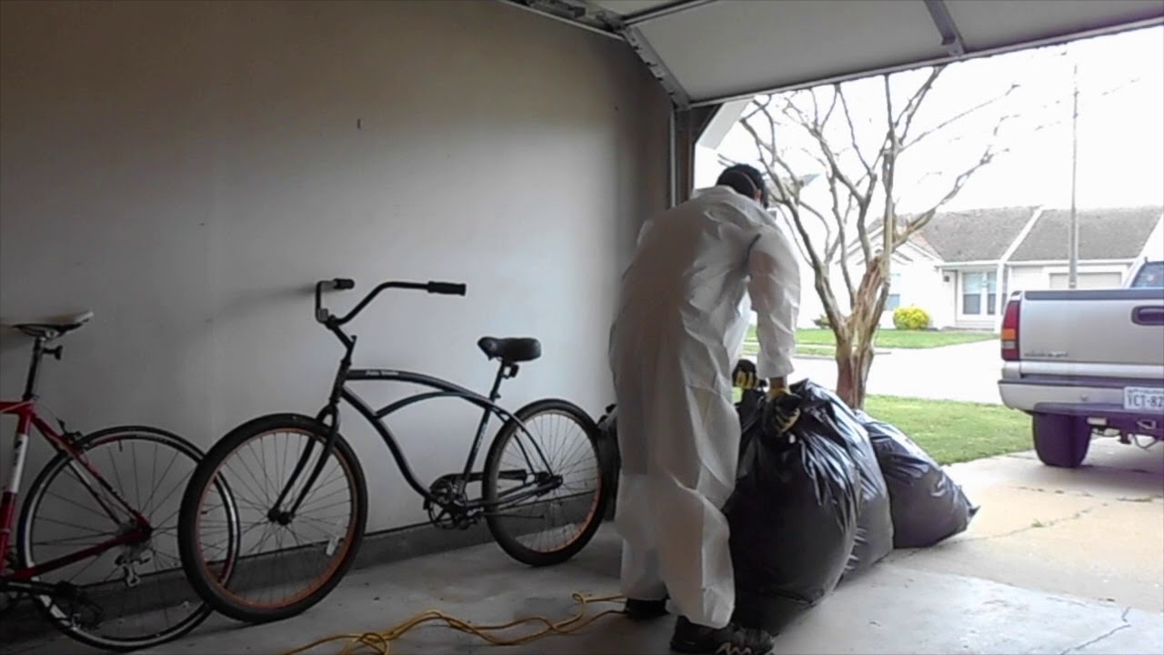 Attic rat clean up