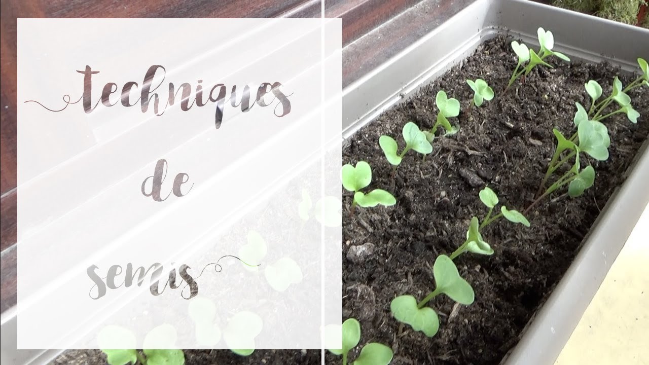 Comment faire les semis | SERIE Semis de printemps