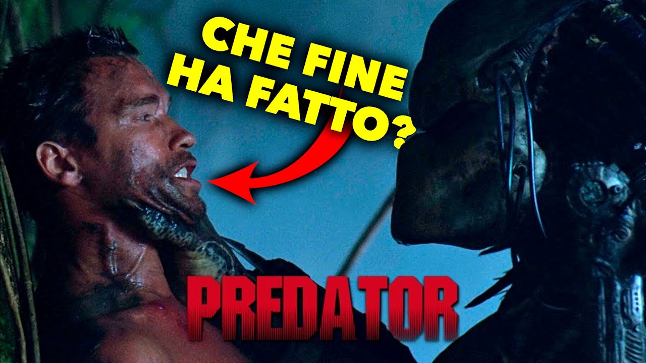 PREDATOR: che fine ha fatto 