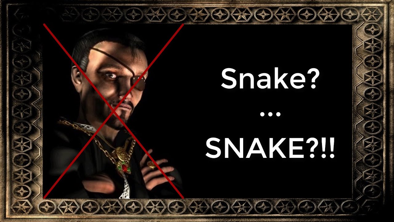 Snake? Are you ok?!
