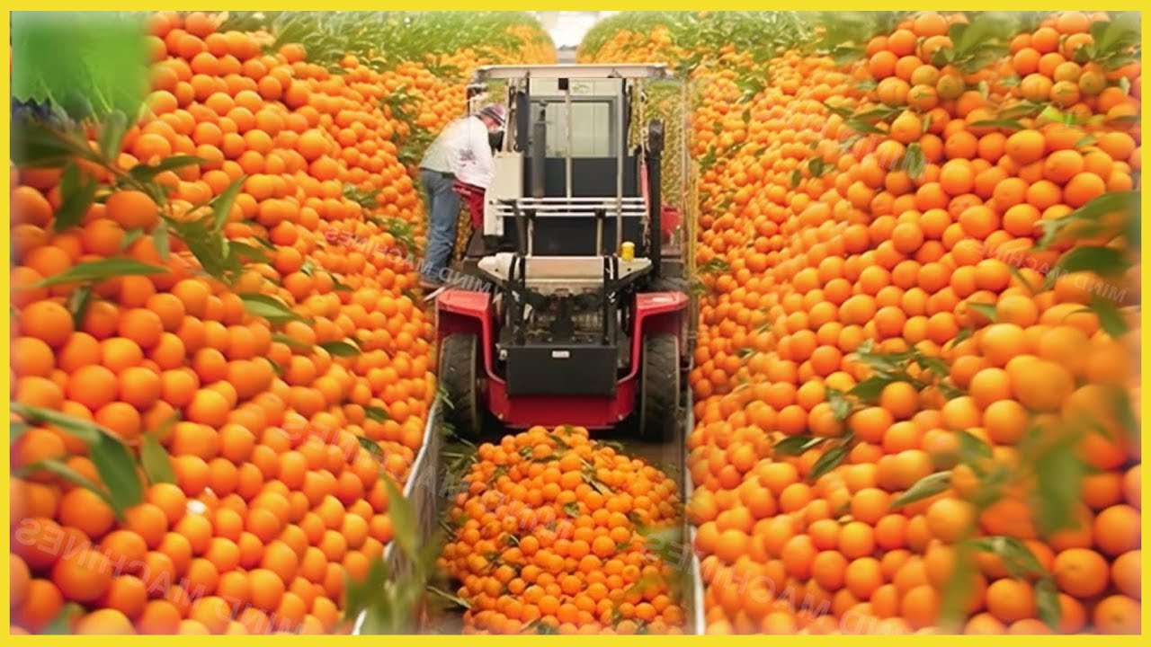Harvest like crazy! 