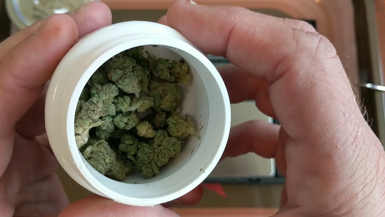 Rebel Sour 2.0 minis Trulieve ⛽⛽