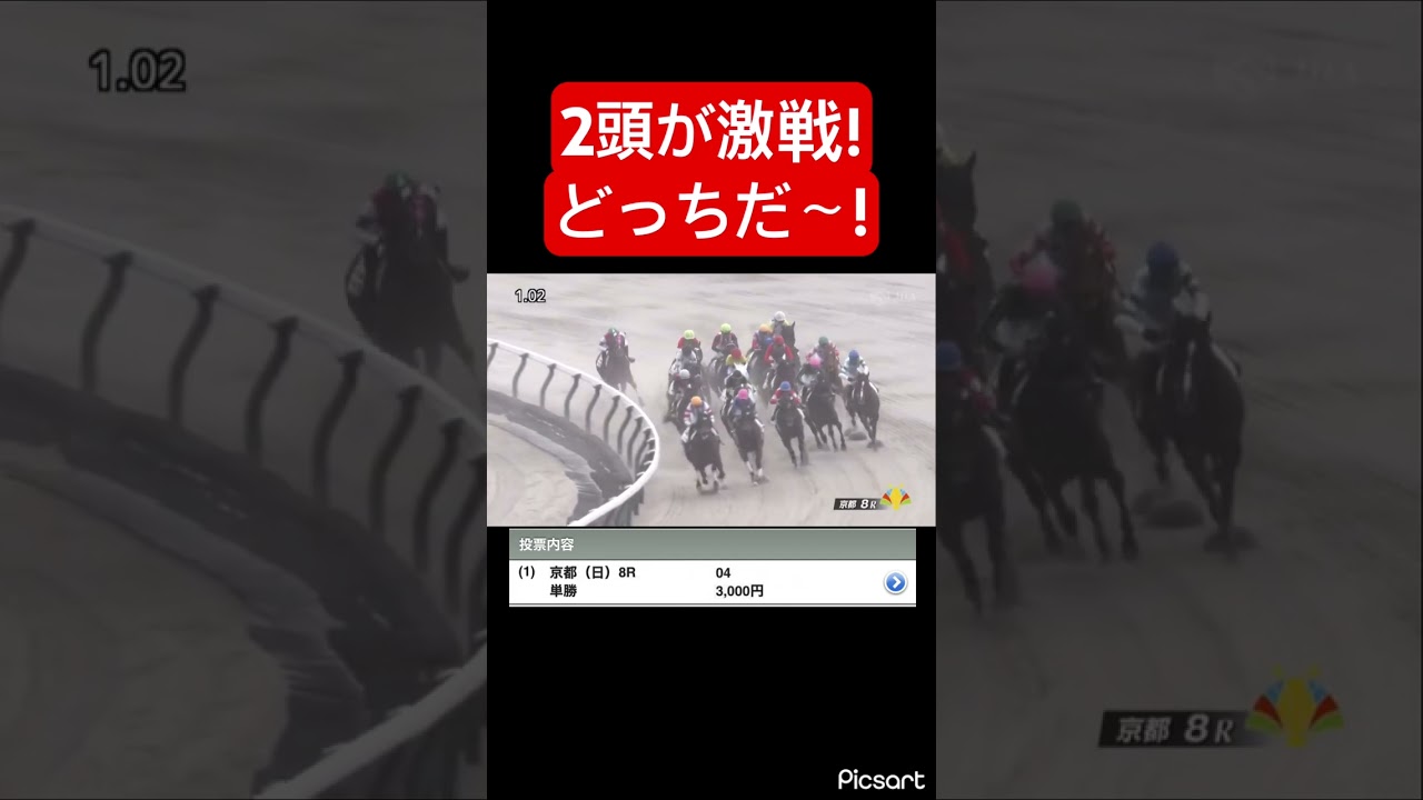 【大接戦】単勝勝負をしていたら2頭が激戦の内容に! 