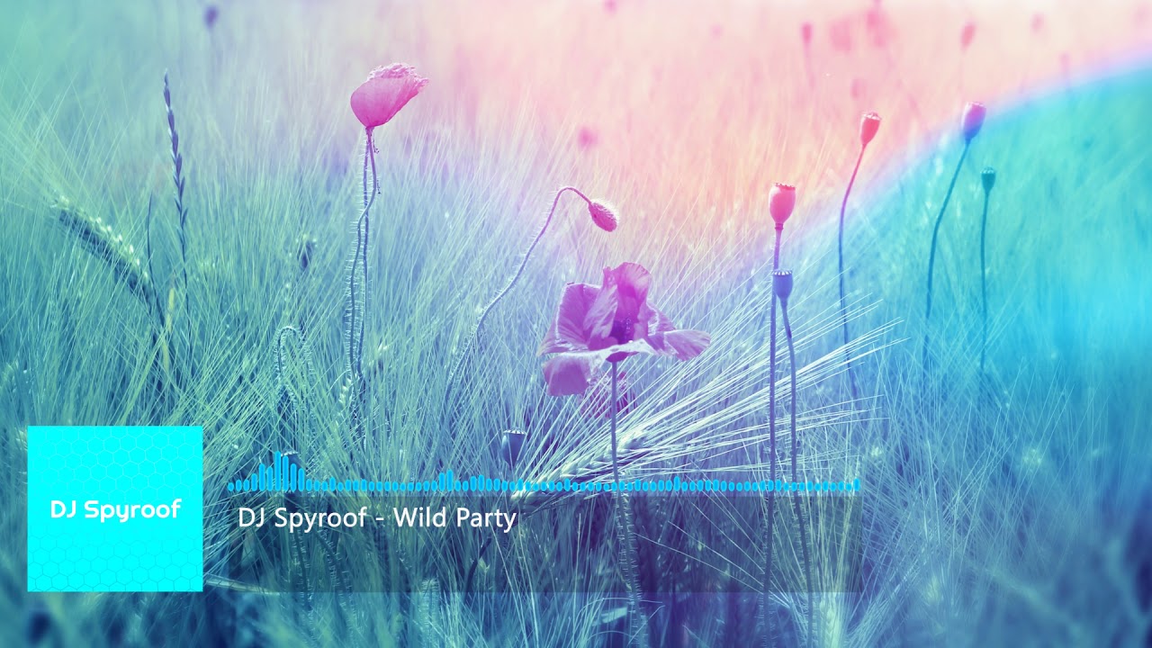 DJ Spyroof - Wild Party