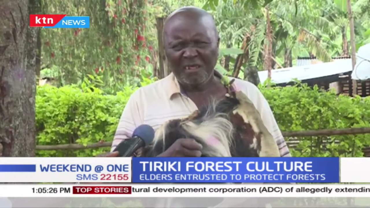 Tiriki forest culture:  The forests are over 100 years old; elders entrusted to protect forest