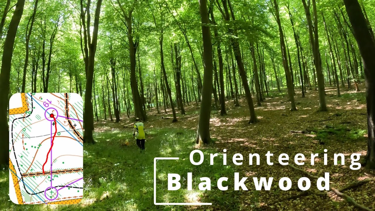 Orienteering - Blackwood  #orienteering #suunnistus