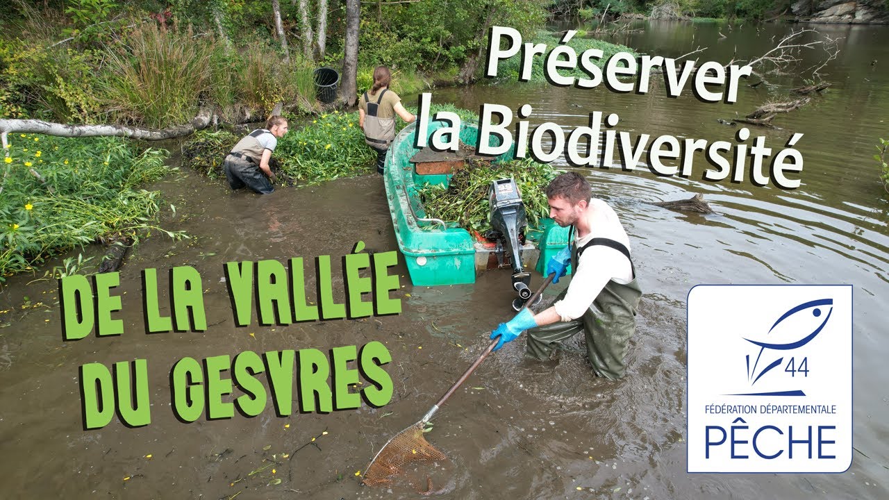 Préserver la biodiversité de la vallée du Gesvres