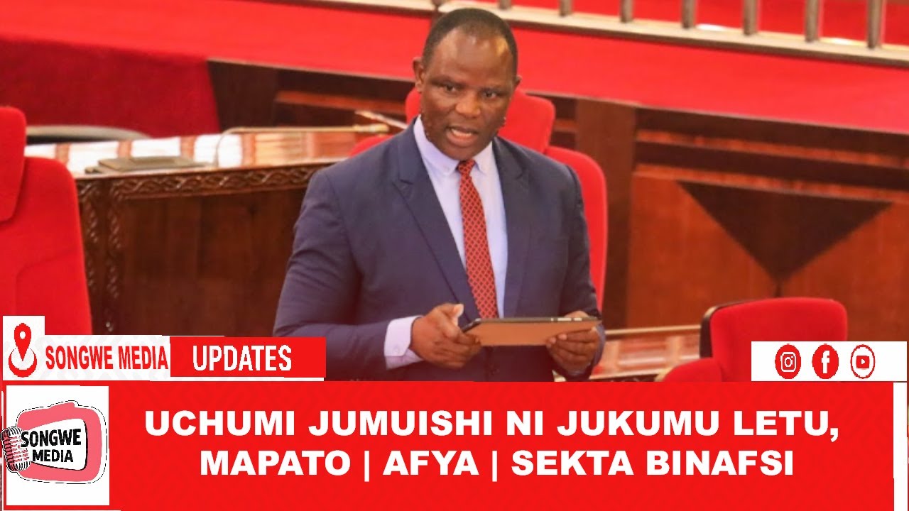 MHE. JAPHET HASUNGA_UCHUMI JUMUISHI NI JUKUMU LETU, MAPATO | AFYA | SEKTA BINAFSI