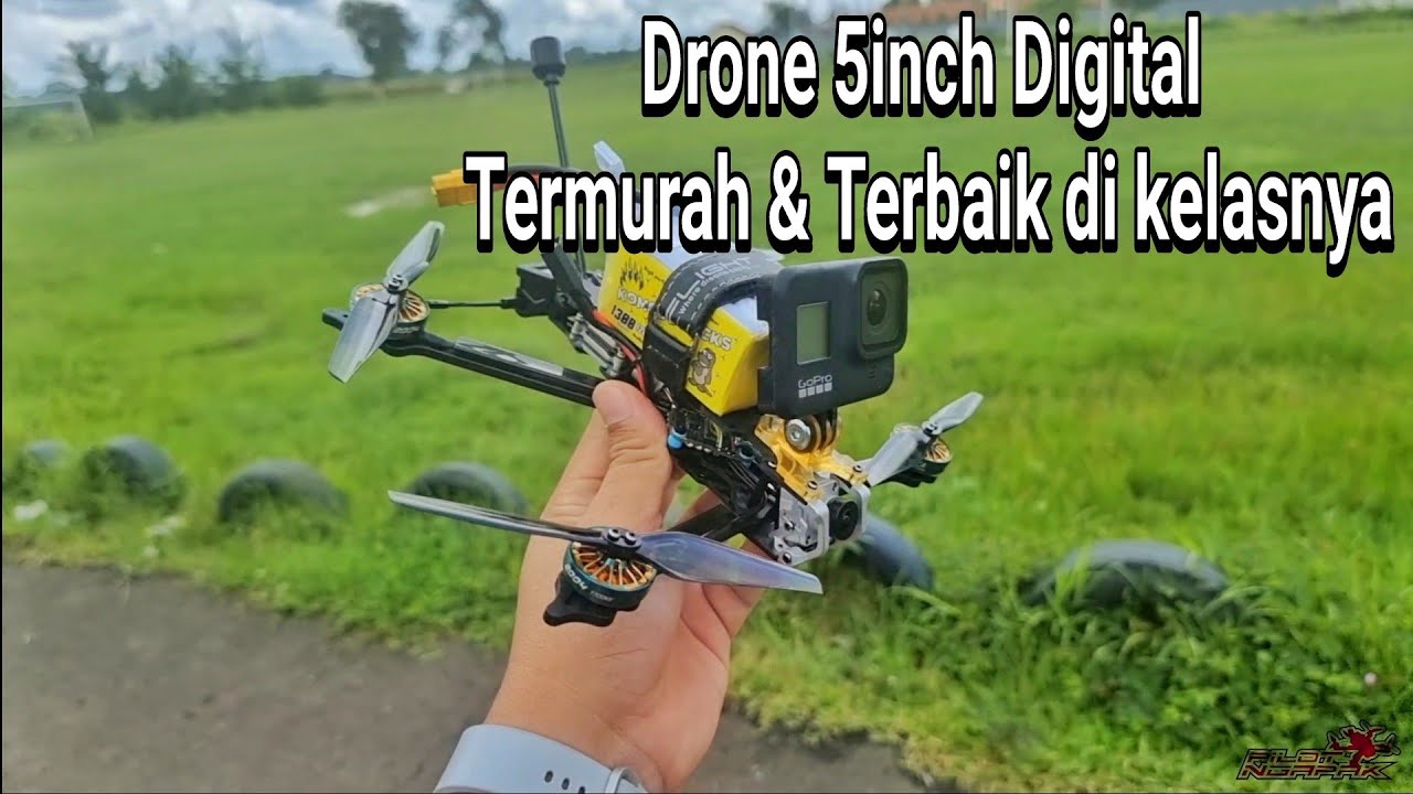 Test Flight Time Diatone Roma L5 Digital 6S 2200mAh 120c