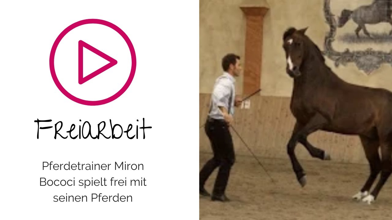 Pferdetrainer Miron Bococi arbeitet frei mit seinen Pferden - Next Generation