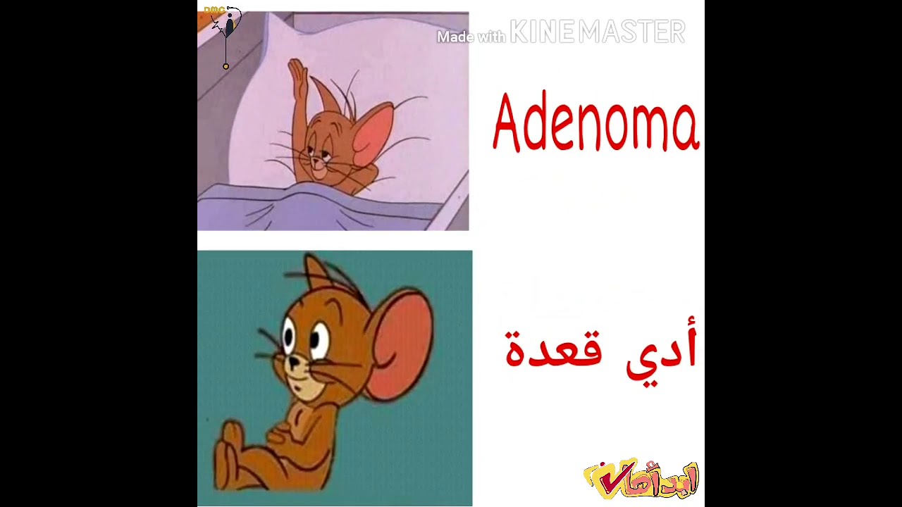 Terminology- شرح المادة والمصطلحات الطبية العامة في دراسة المحتوي الطبي
