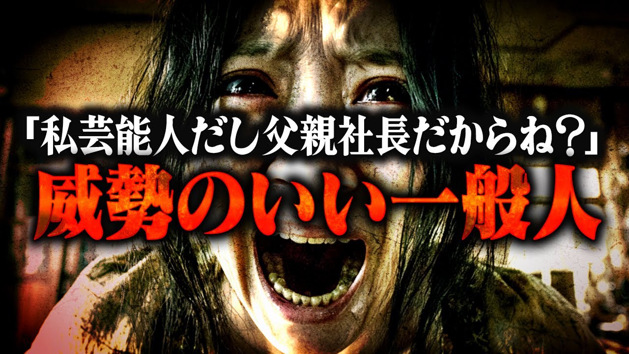 【大喧嘩】芸能人ぶって盛大にマウントしてくるただの一般人がヤバすぎた… 