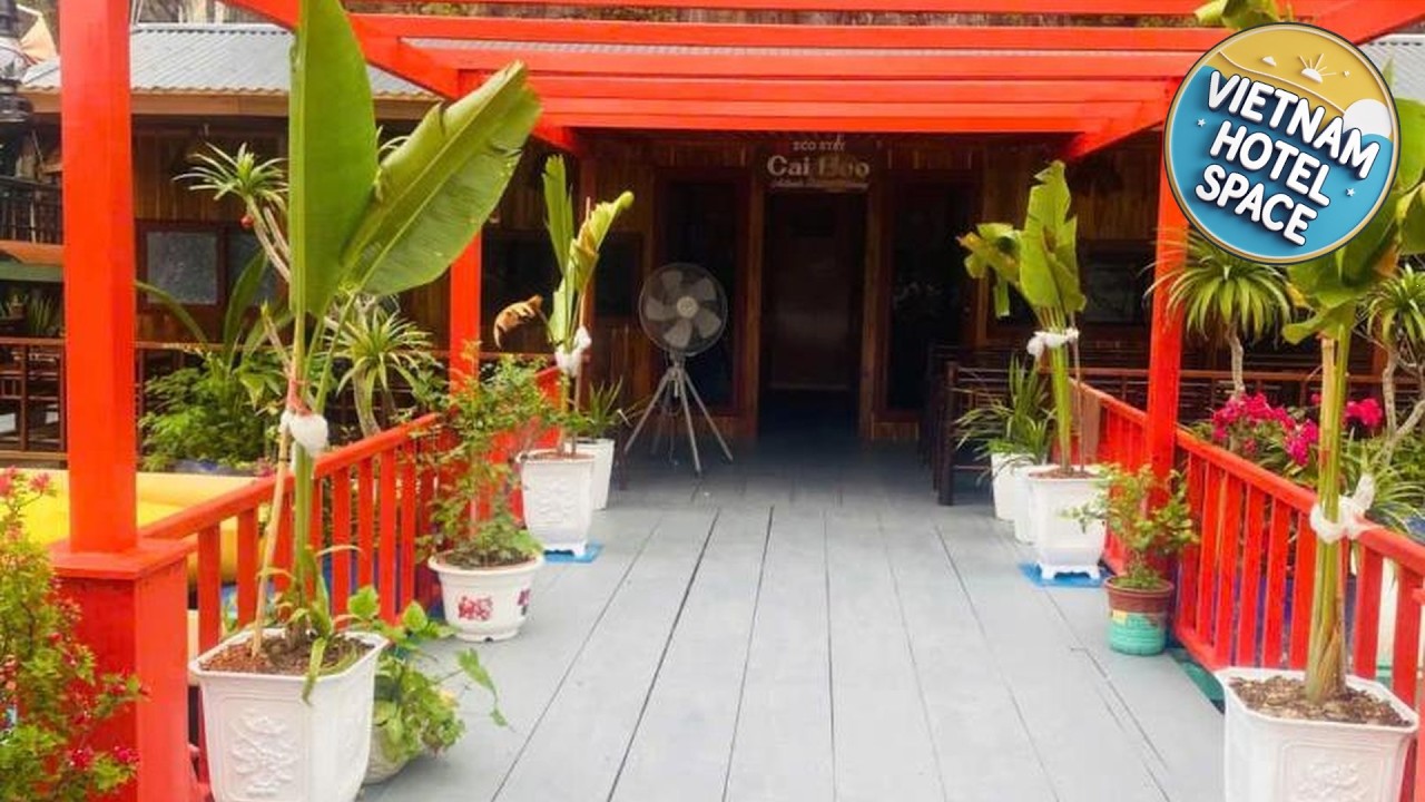 Eco Floating Stay Cai Beo | Cat Ba Island, Vietnam | Hotel Review 🏩