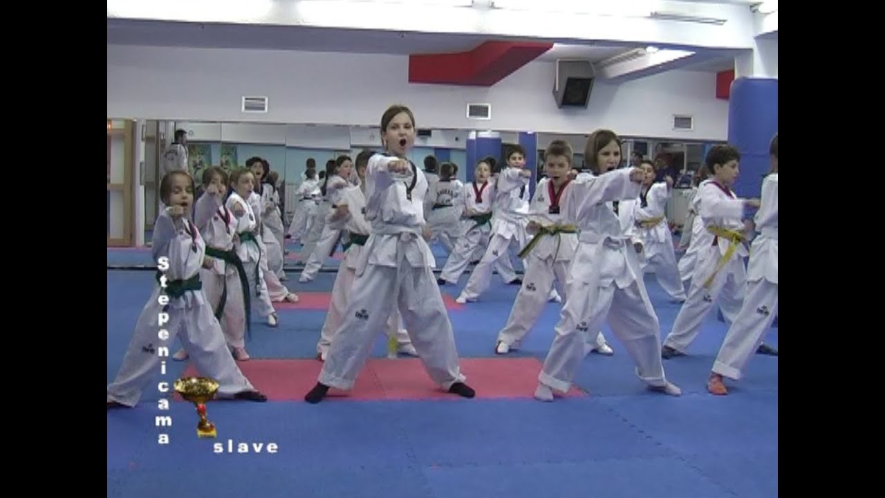 Tekvondo - Ovde se stvaraju olimpijski šampioni: Taekwondo klub Galeb