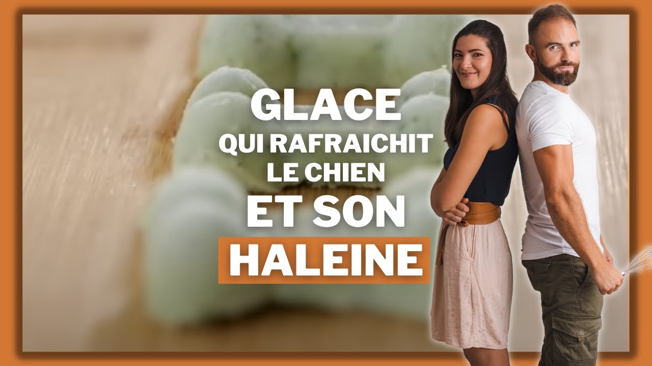 Glace pour chien, qui rafra&icirc;chit aussi son haleine !