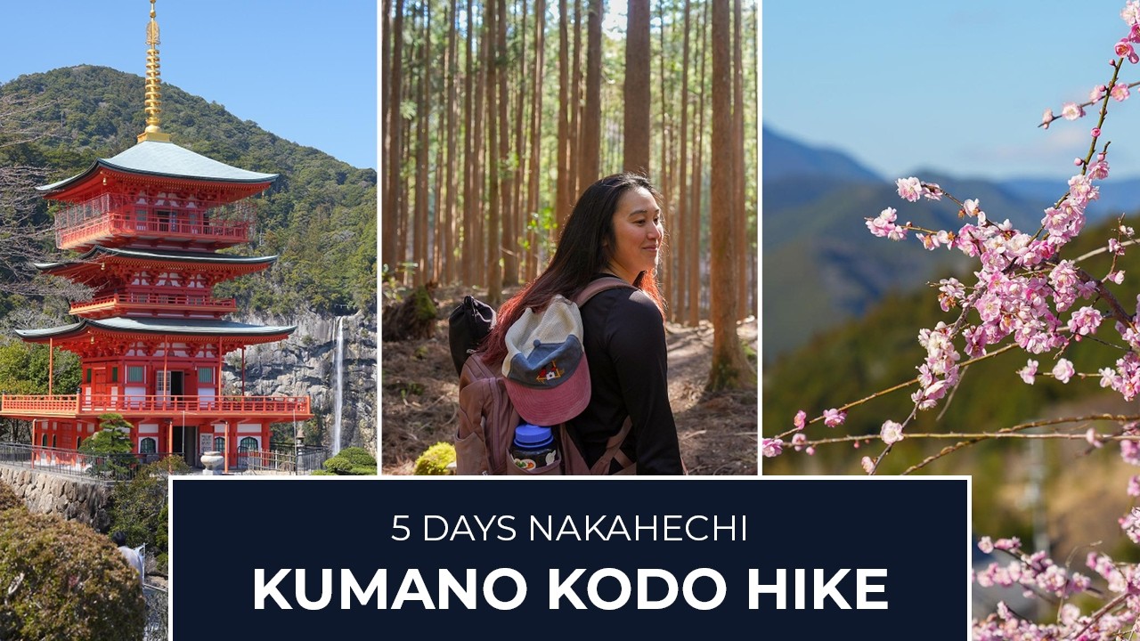 Hiking on the Kumano Kodo - Nakahechi Route 5 Days | Wakayama UNESCO Pilgrimage Trail | 熊野古道 中辺路、和歌山