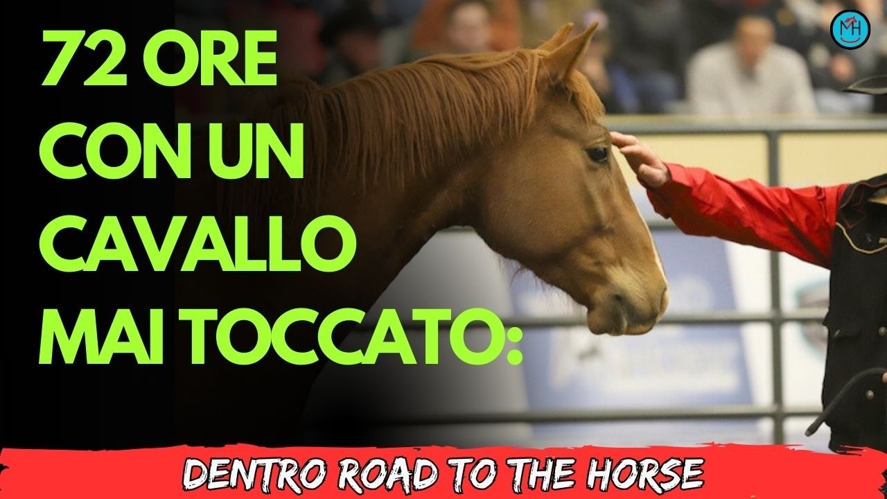 Road to the Horse: il Mondiale dove un Cavallo Selvaggio Diventa Partner in 3 Giorni