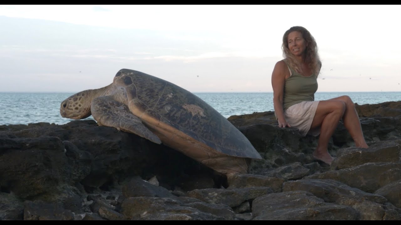 Heron Island PBC