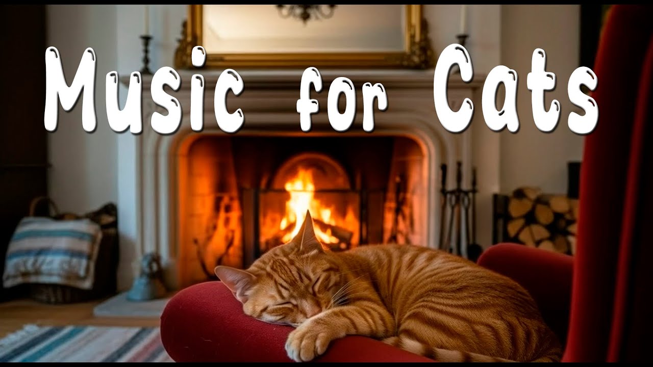 😻Sleep Music for Cat 🐈 Calming Cats Music for Relax, Chill, Antistress