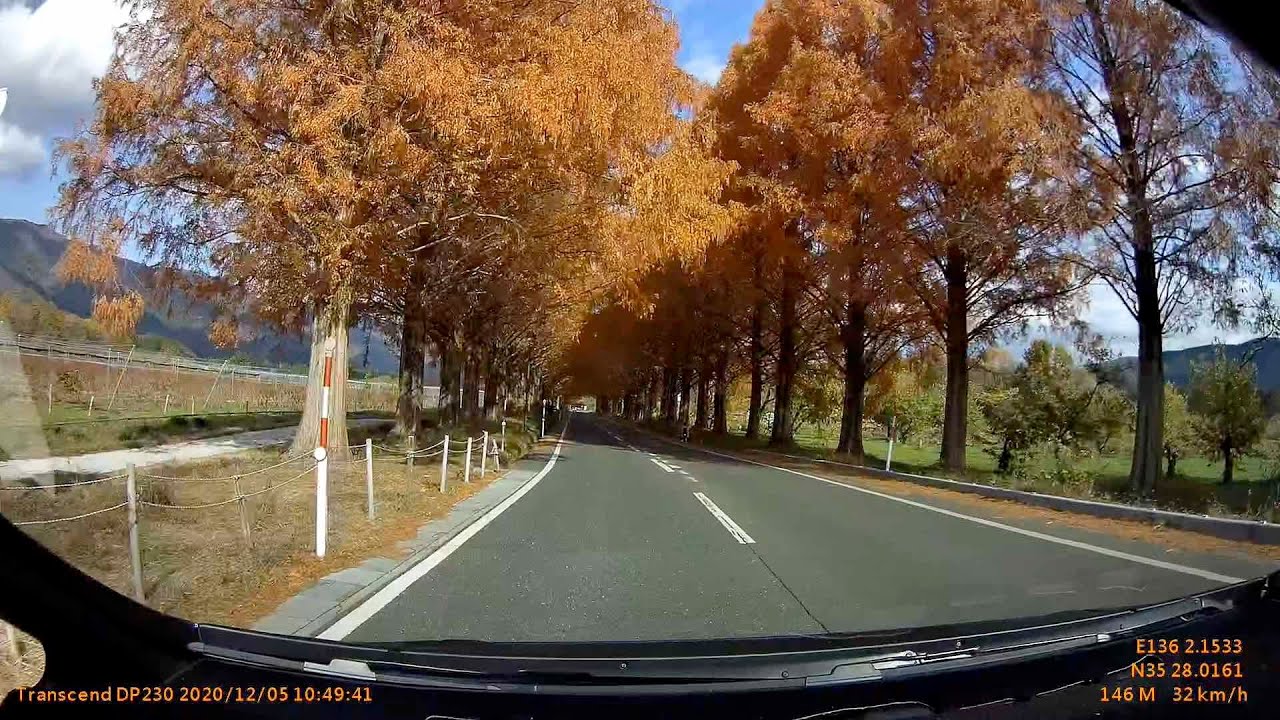 ドライブ　道の駅 マキノ追坂峠　⇨　国道303号　⇨　滋賀県道287号　⇨　マキノ高原のメタセコイア並木　⇨　折り返し　⇨　滋賀県道287号　⇨　国道303道　⇨　道の駅 塩津海道 あぢかまの里。紅葉