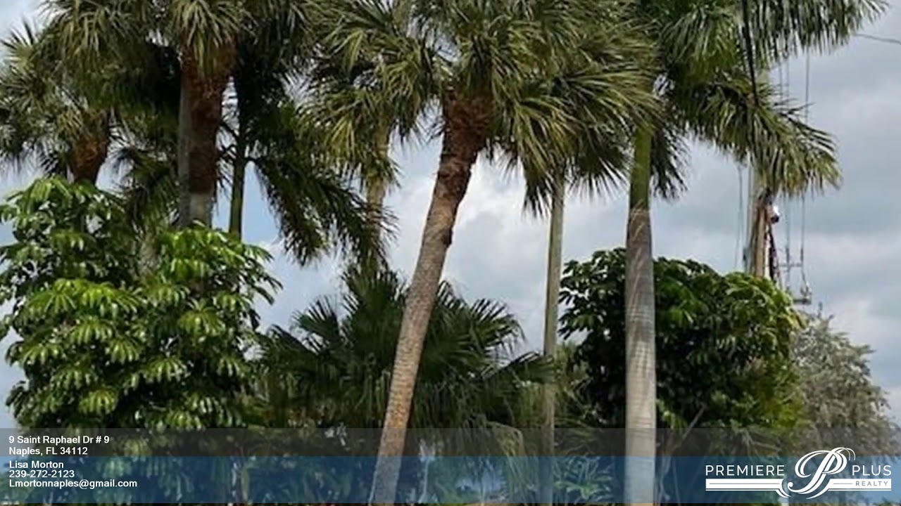 9 Saint Raphael Dr # 9 Naples FL 34112 - Lisa Morton