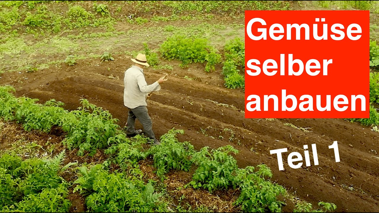 Bio Gemüse Saat im Kleingarten Teil 1
