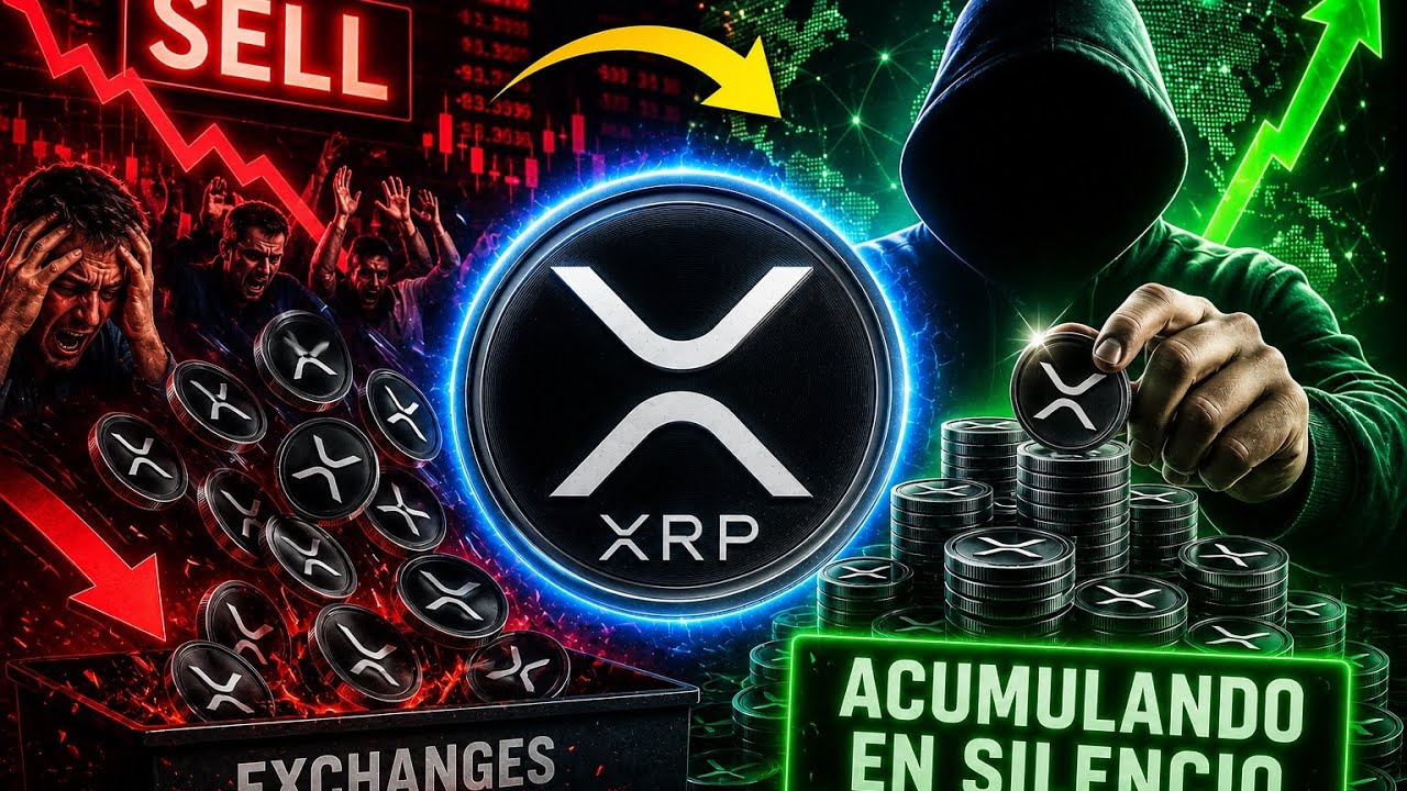 SOMEONE IS BUYING ALL THE XRP THE MARKET IS SELLING 🚨