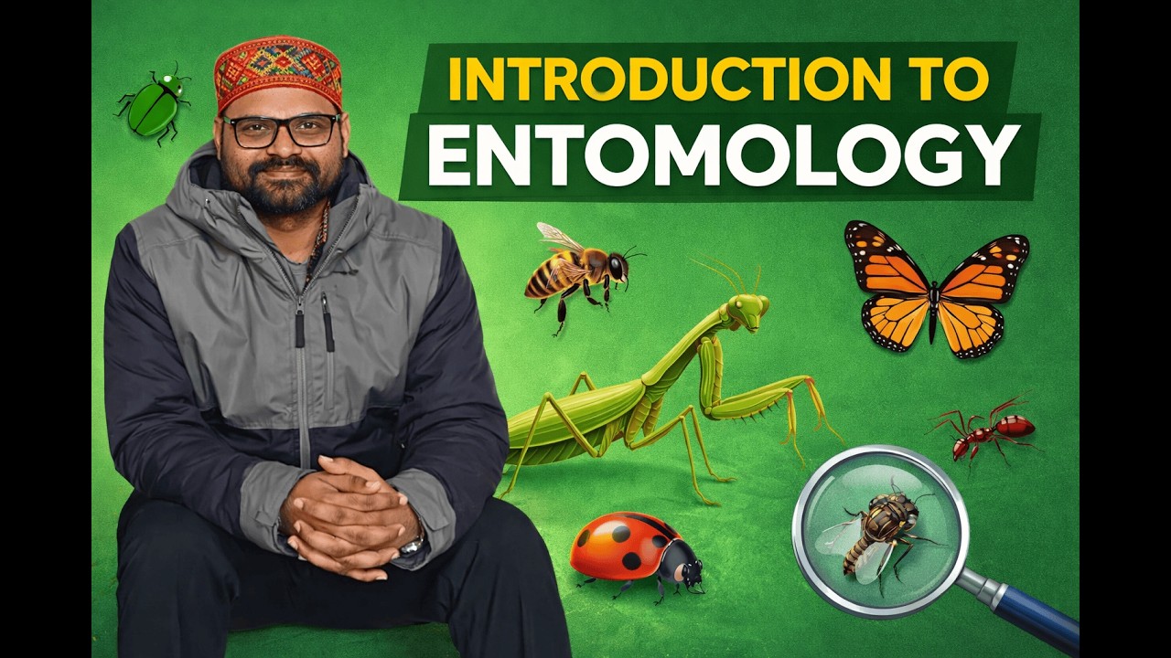 Introduction to Entomology ｜ Definition & Basic Concepts Explained