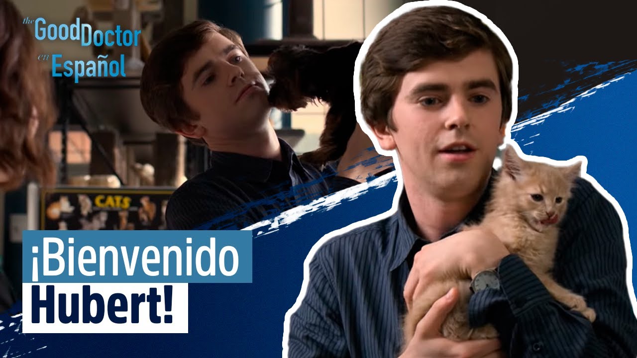 Shaun y Lea tienen una nueva mascota | Capítulo 7 | Temporada 2 | The Good Doctor en Español