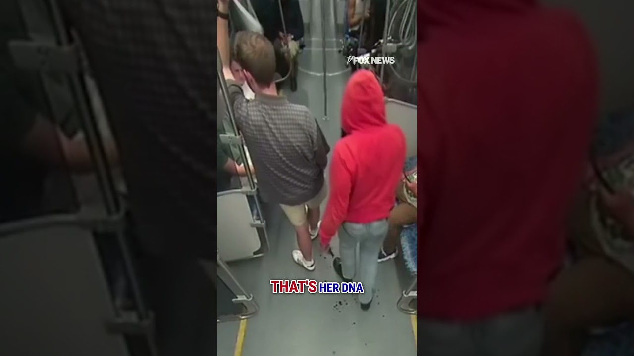 SHOCKING: Charlotte train suspect moments after murder revealed #shorts #foxnews #news #us #fox