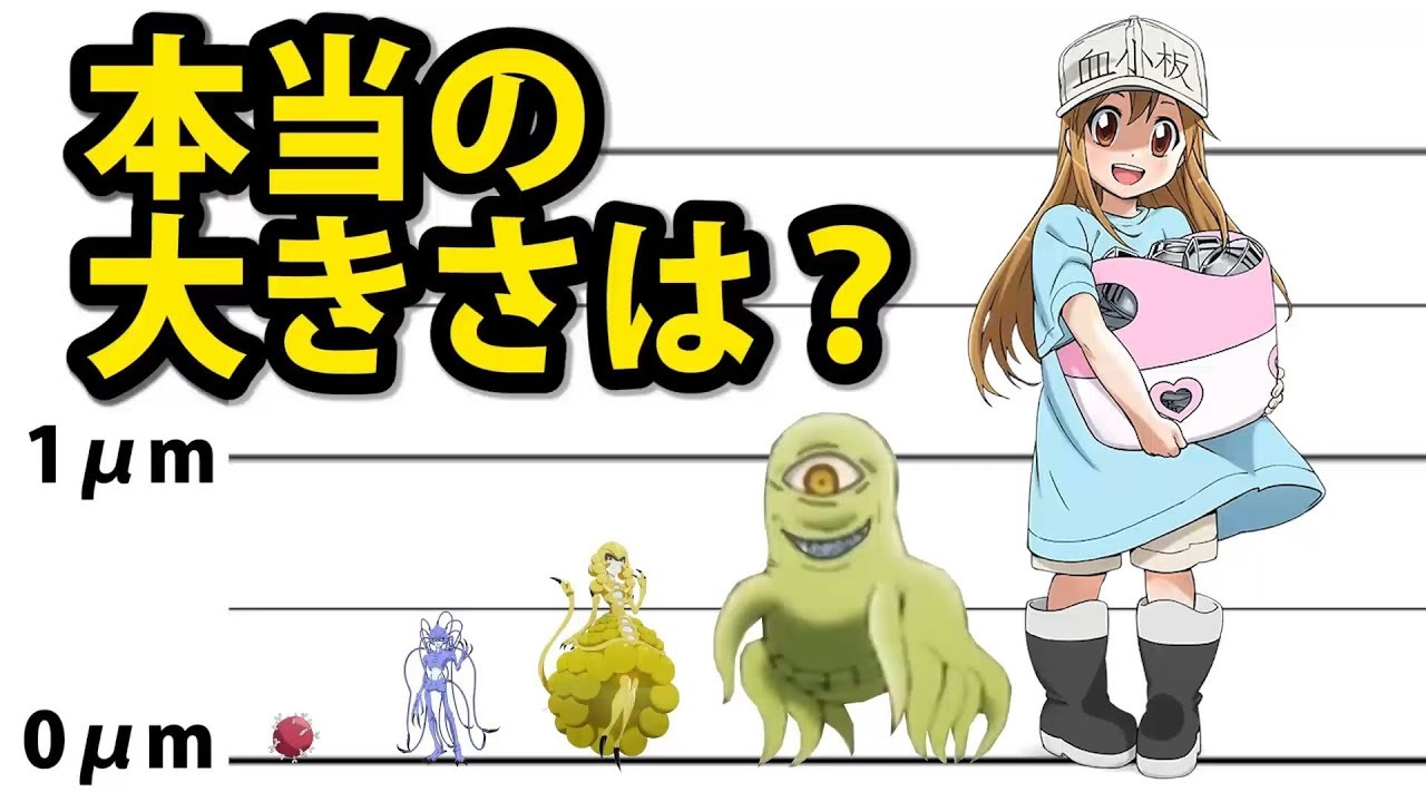 はたらく細胞 敵キャラを、実際の大きさで比較してみた！ Hataraku Saibou