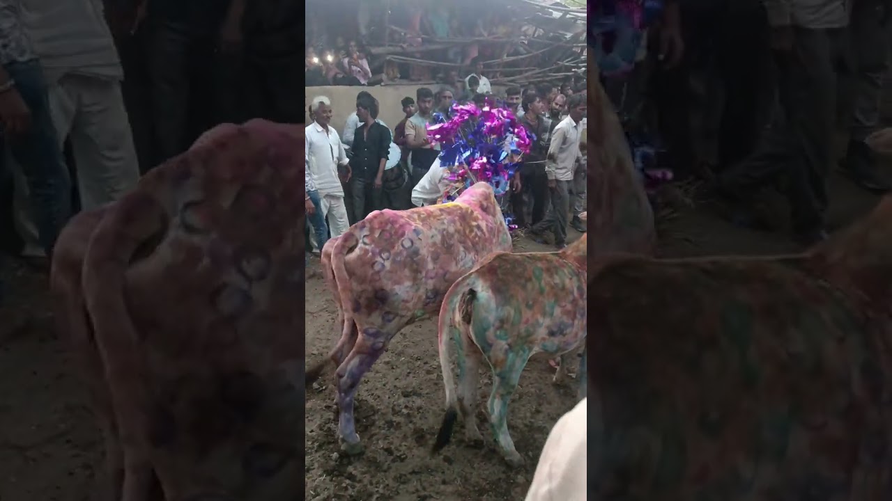 chavda Diwali guradiya Surdas 💥