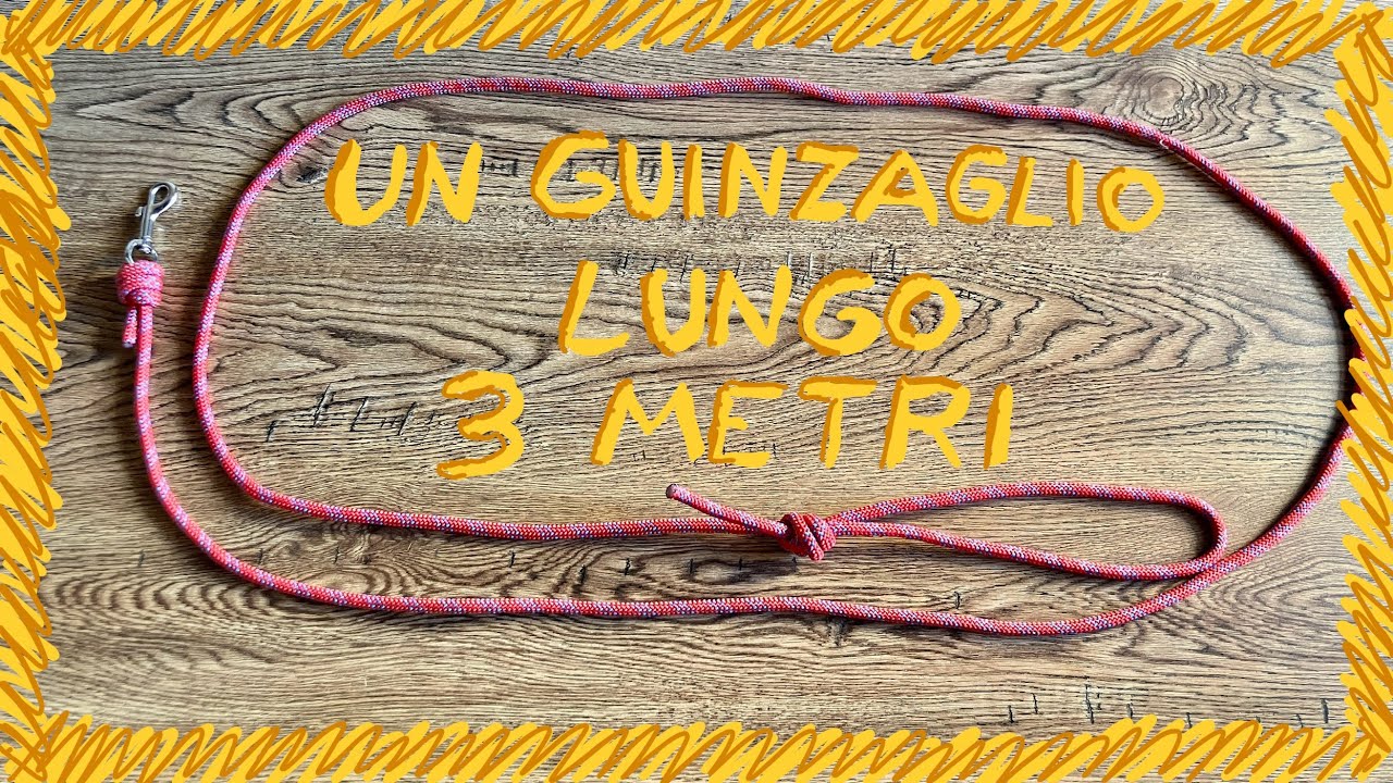 Un Guinzaglio Lungo 3 Metri