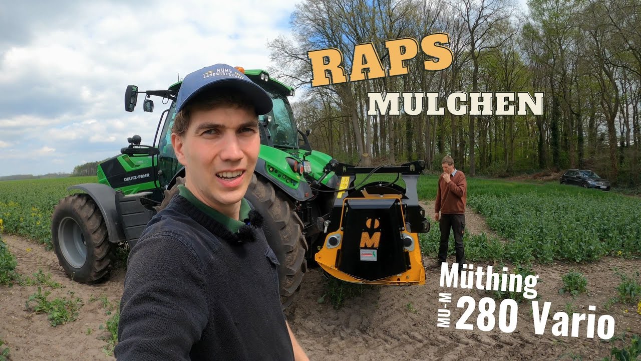 Mulchen für längere Blüte - Vermehrungsraps mit Deutz-Fahr 6185 TTV perfekt gepflegt