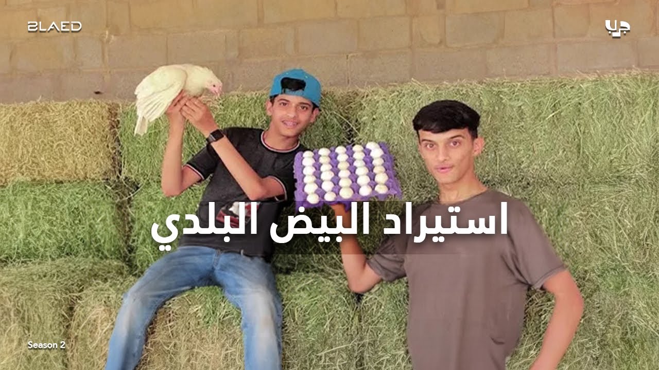 جربت أبيع بيض 🥚 #جرب