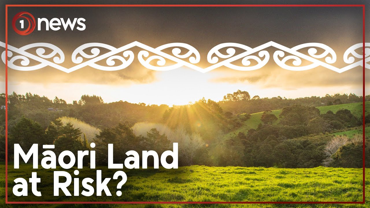 Fears for Māori land grow as Govt reviews Public Works Act | 1News