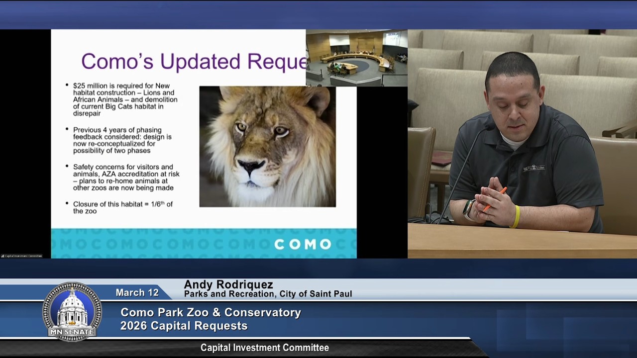 Committee on Capital Investment - 03/12/26