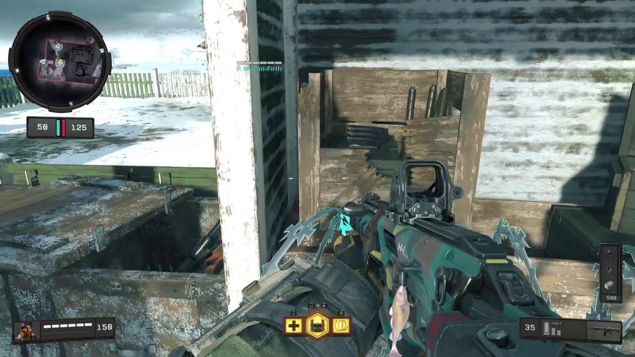 Playing BO4