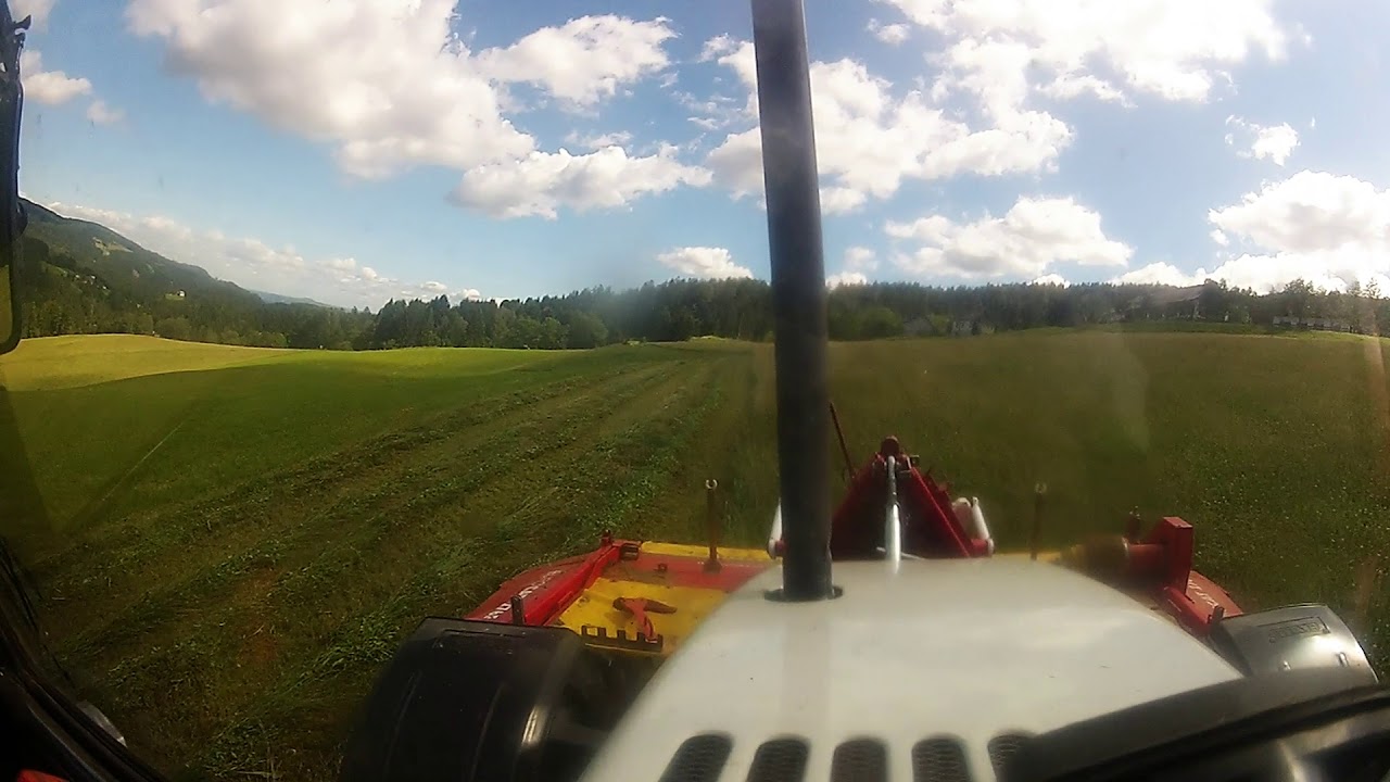 Steyr 975 mähen 2017