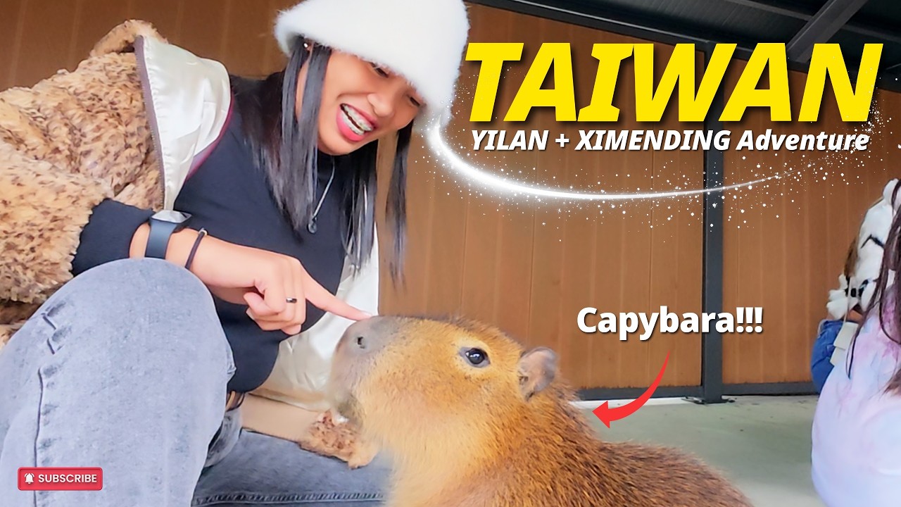 TAIWAN PART2 | YILAN ADVENTURE + XIMENDING NIGHT WALK