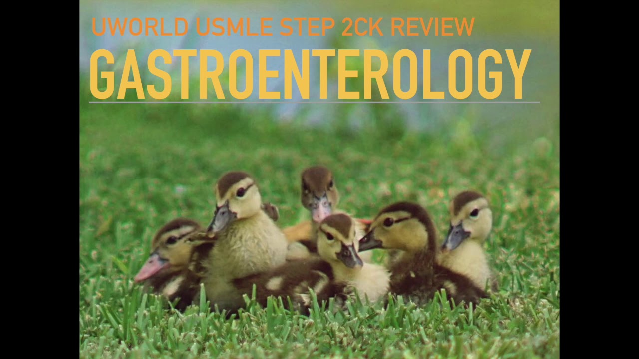 UWORLD USMLE High Yield GI Audio Lecture Review for Step 2CK